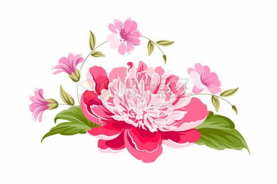 盛开的粉红色牡丹花绿叶装饰手绘风格6963381矢量图片免抠素材