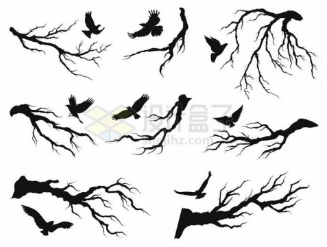 各种各样的树枝树干和乌鸦飞鸟剪影6798301矢量图片素材免费下载