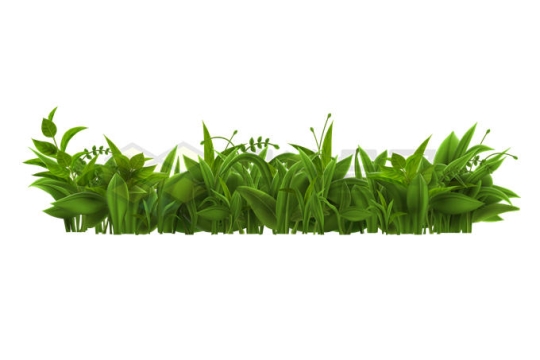 一大丛翠绿色草叶草丛装饰1280062矢量图片免抠素材