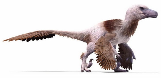 白垩纪晚期达科塔盗龙驰龙科恐龙复原图9821955png图片免抠素材
