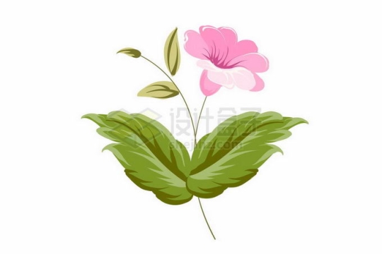 盛开的粉红色凌霄花绿叶装饰手绘插画7167444矢量图片免抠素材