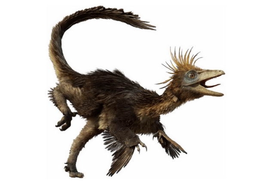 白垩纪晚期伤齿龙肉食性恐龙复原图3065052png图片免抠素材