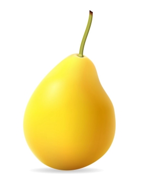 黄色的梨子大鸭梨水果免抠矢量图片素材