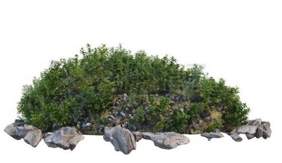 乱石堆上的草丛和低矮灌木丛2953249PSD免抠图片素材