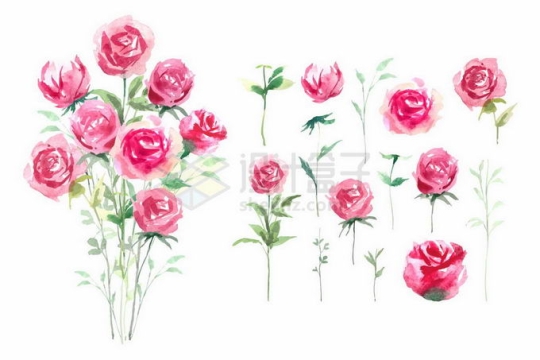 各种红色玫瑰花水彩画1544824矢量图片免抠素材