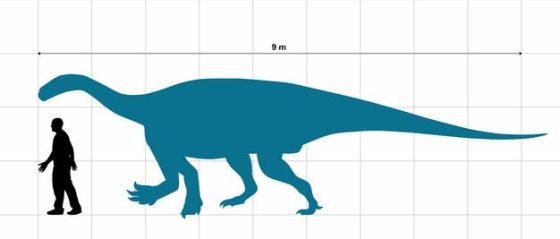 巨椎龙早侏罗纪植食性恐龙和人类大小对比图4179901png图片免抠素材