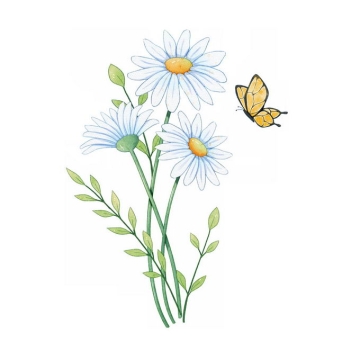  Blooming wild chrysanthemums and small wild flowers attract butterflies Hand drawn illustrations 9031234 Vector pictures Free download of materials