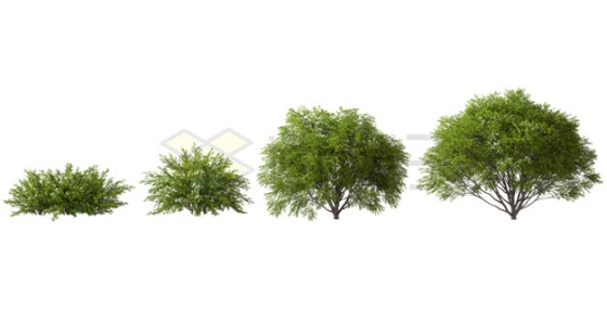 4款灌木丛小树大树绿色植物3D渲染图4459296PSD免抠图片素材
