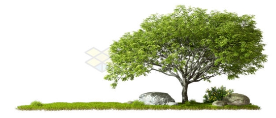 草地上的石头和大树3D渲染图4477835PSD免抠图片素材