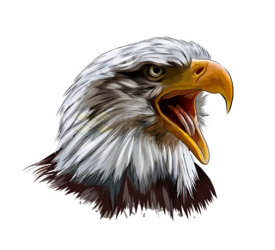 张张嘴巴的白头鹰头部手绘插画7131349矢量图片免抠素材