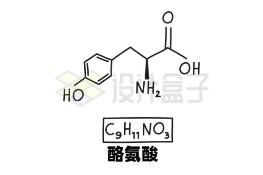 酪氨酸C9H11NO3化学方程式和分子结构式手绘风格氨基酸4989518矢量图片免抠素材