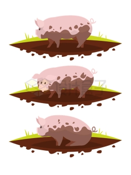 3款卡通小猪在泥坑里打滚1968121矢量图片免抠素材
