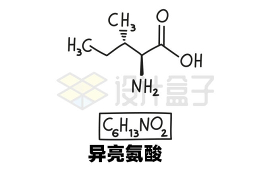异亮氨酸C6H13NO2化学方程式和分子结构式手绘风格氨基酸1662144矢量图片免抠素材