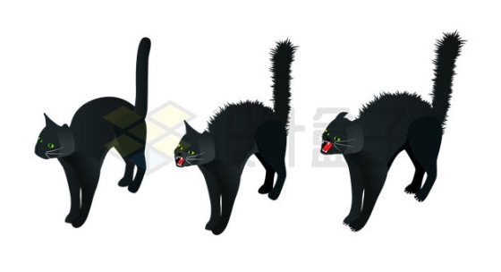 炸毛的卡通黑色猫咪4801716矢量图片免抠素材