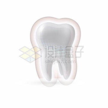 3D立体洁白的牙齿发光效果以及白色格子线牙齿保健8701473矢量图片免抠素材