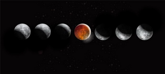 超逼真的月球月相变化678210png矢量图片素材