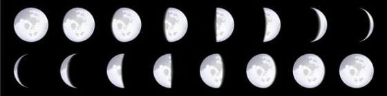 超逼真的月球月相变化276442png矢量图片素材