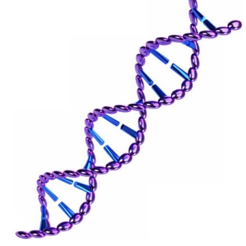 紫色蓝色3D立体风格DNA双螺旋结构2134967矢量图片免抠素材免费下载