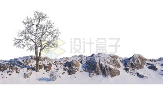 冬天大雪覆盖的石头山上一棵孤零零的大树雪景风景4119045免抠图片素材