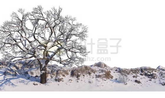 冬天大雪覆盖的石头山上一棵孤零零的大树雪景风景9301845免抠图片素材