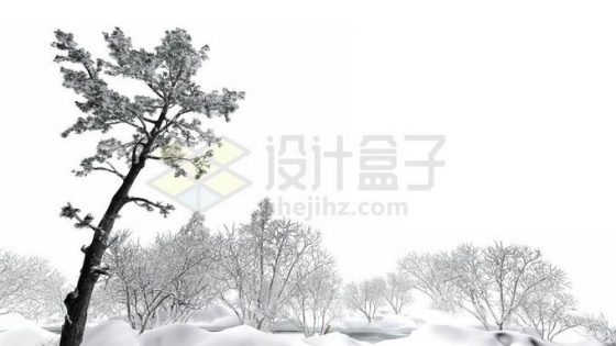 冬天大雪覆盖的森林风景9234757图片免抠素材