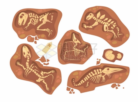 各种泥土中的远古动物灭绝化石骨架恐龙化石6397665矢量图片免抠素材