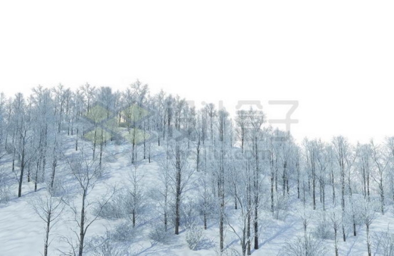 冬天大雪覆盖的山坡上的森林树林雪景风景7011825免抠图片素材
