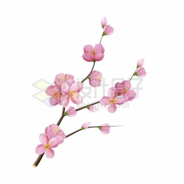  Pink peach blossoms blooming on the branches 4042516 vector picture free material