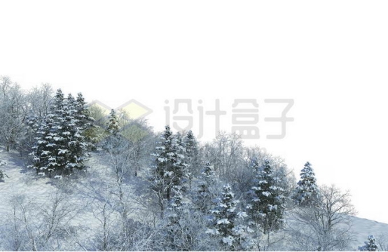 冬天大雪覆盖的山坡上的森林树林雪景风景5886343免抠图片素材