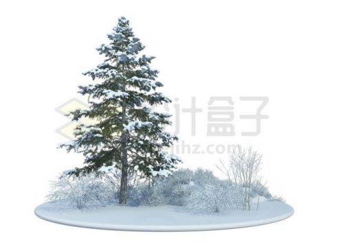 冬天大雪覆盖的雪原上的一棵雪松大树和周围的灌木丛雪景4202859免抠图片素材