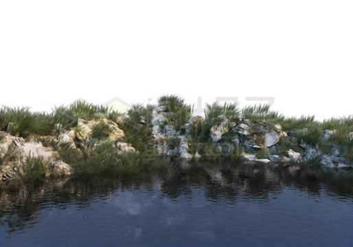 池塘河边水边的石头岸边上的野草丛3781012PSD免抠图片素材
