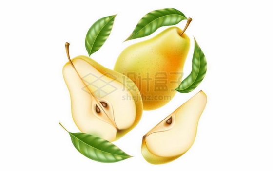 切开的梨子大鸭梨美味水果2465730矢量图片免抠素材