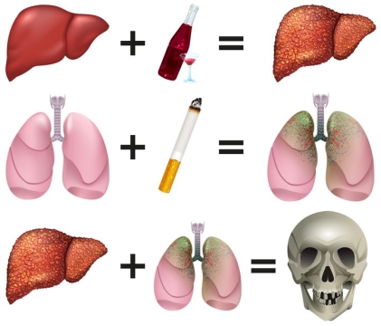 写实风格抽烟喝酒对肺部和肝脏的伤害禁烟禁酒配图图片免抠矢量素材