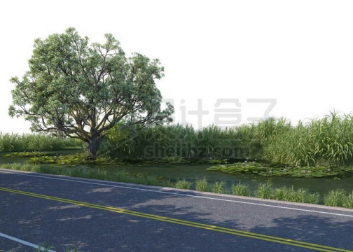 公路边的大树池塘和芦苇丛9616340PSD免抠图片素材