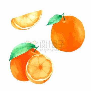 切开的橙子彩绘风格美味水果png图片免抠矢量素材
