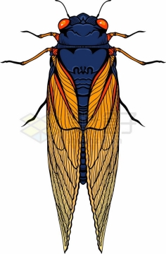 一只知了鸣蝉昆虫彩色插画8476414矢量图片免抠素材