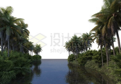 河流两岸的椰子树林热带雨林大森林风景8805995PSD免抠图片素材
