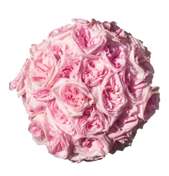 一束粉色玫瑰花432544png图片素材