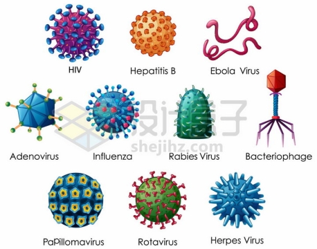艾滋病毒埃博拉新型冠状病毒噬菌体等10种常见病毒形状png图片免抠矢量素材
