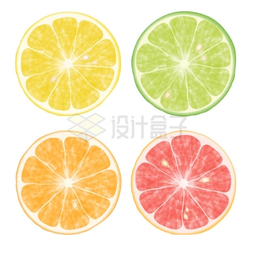 4款黄色绿色橙色红色柠檬橙子横切面图案9557894矢量图片免抠素材