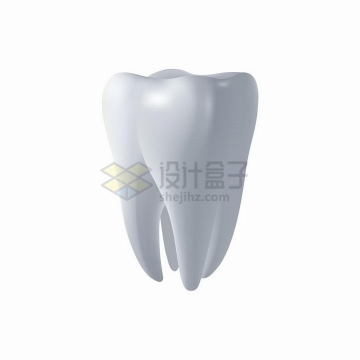 3D人体牙齿臼齿png图片免抠矢量素材
