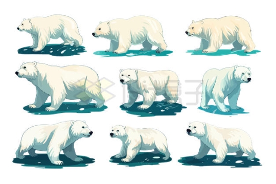 9 cartoon polar bear 2210194 vector picture free material