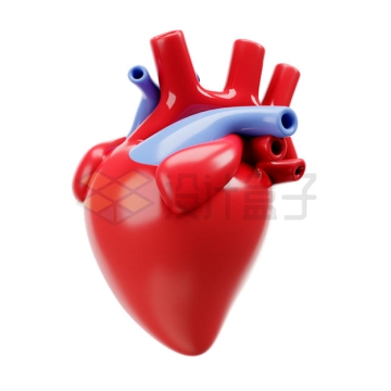 卡通心脏3D模型8477206PSD免抠图片素材