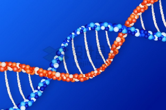 红色蓝色基因DNA螺旋结构医疗医学png图片免抠矢量素材
