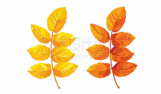 秋天里两个变黄变红的树叶红叶7745987免抠图片素材