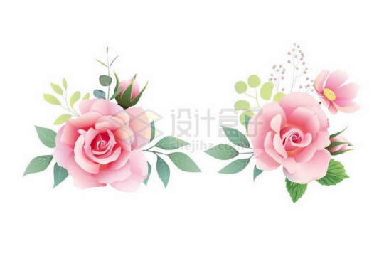 2款盛开的粉红色玫瑰花绿叶装饰3143604矢量图片免抠素材