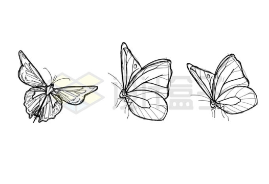 三种手绘涂鸦风格的蝴蝶素描勾勒的昆虫插画8779216矢量图片免抠素材