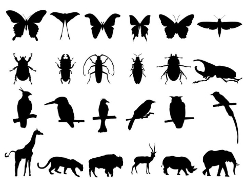 24款各种蝴蝶甲虫鸟儿大象等野生动物剪影图片免抠矢量素材