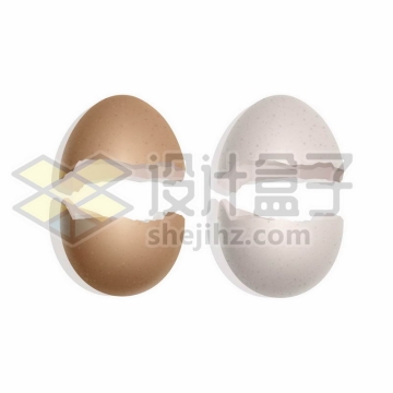 分裂的蛋壳鸡蛋壳鹅蛋壳鸭蛋壳1211472矢量图片免抠素材