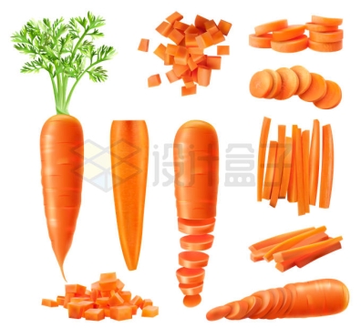 逼真的胡萝卜和切丁切条的胡萝卜2855122矢量图片免抠素材